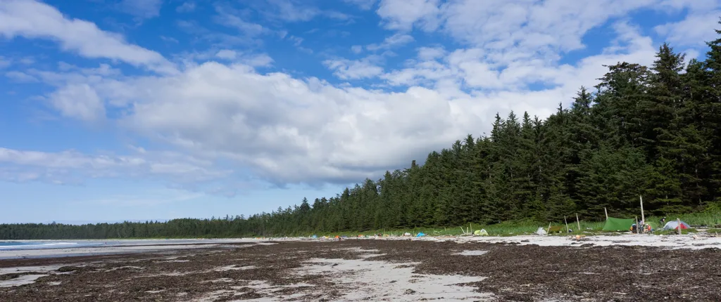 Tents at Nel's Bight in Cape Scott Provincial Park
