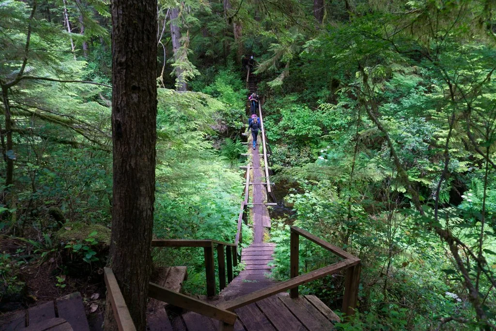 Bridge on the Cape Scott Trail near Eric Lake