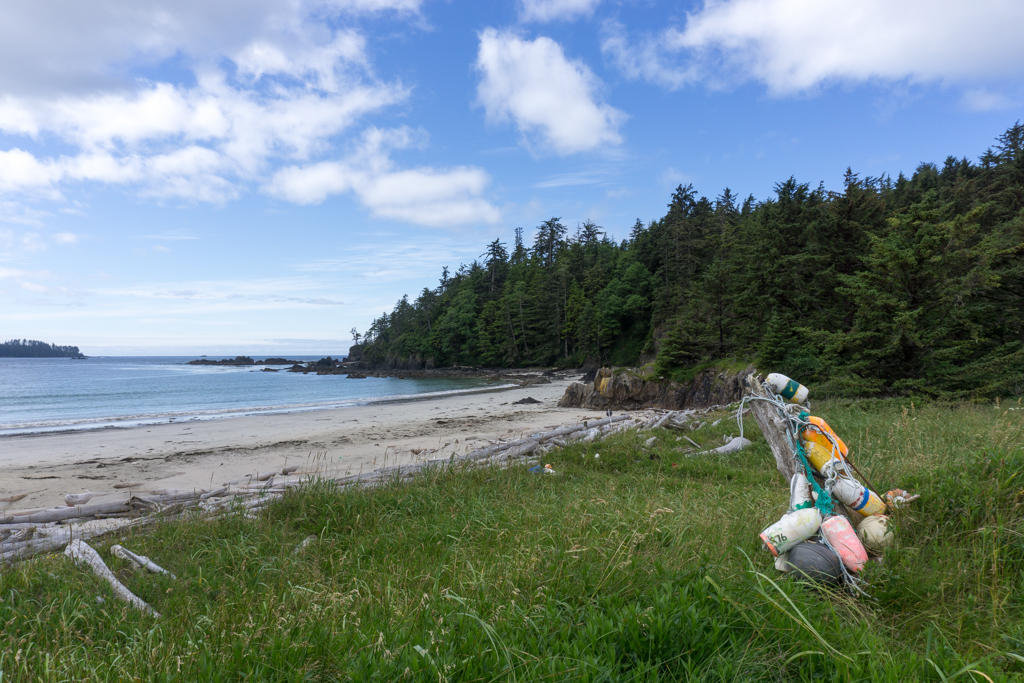 Guise Bay at Cape Scott