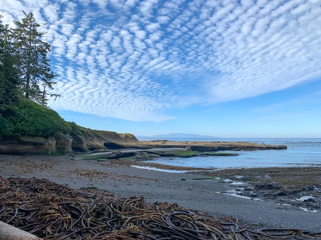 Near Botanical Beach