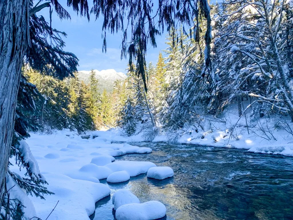 Snow next to the river on the Cheakamus River snowshoe trail in Whistler