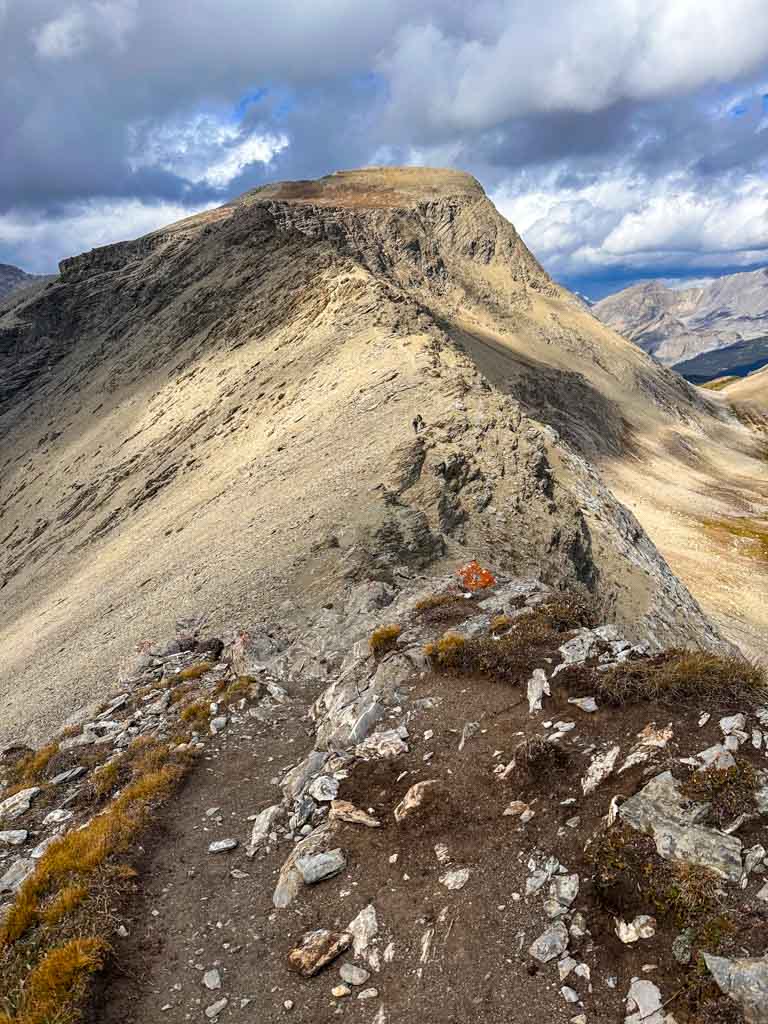 Nub Peak ridge in Mount Assiniboine Provincial Park